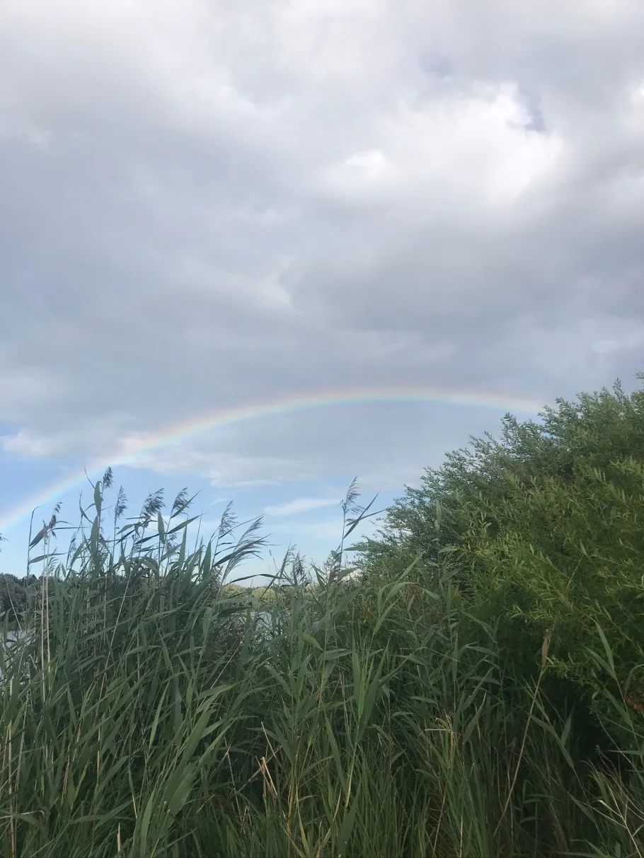 Большой Ставок angeln