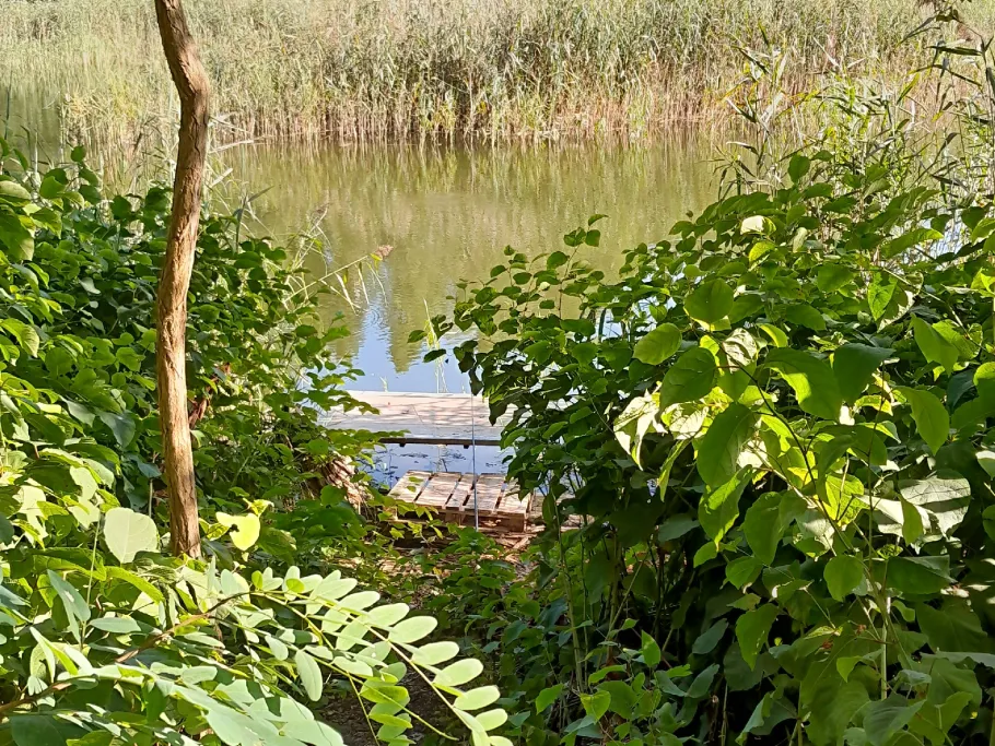 Kleiner Wannsee angeln