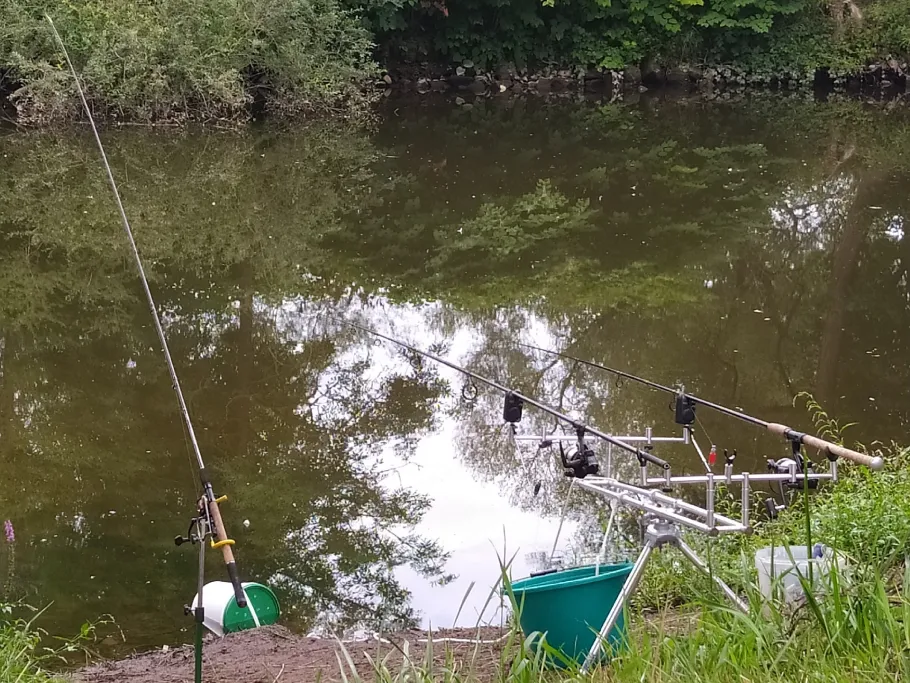 Nahe (Bad Sobernheim) angeln