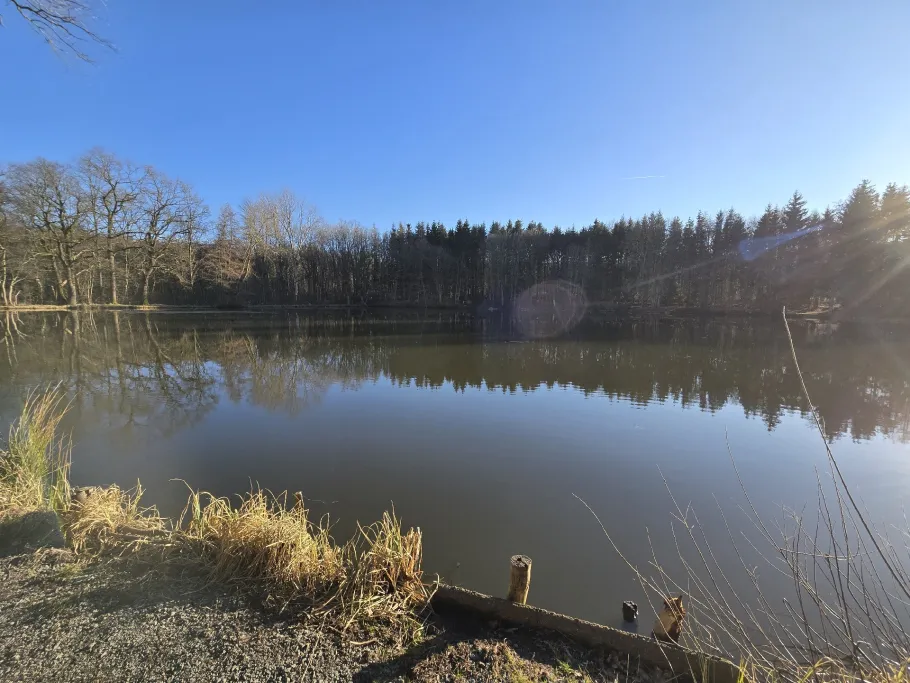 Aueteich (Crawinkel) angeln