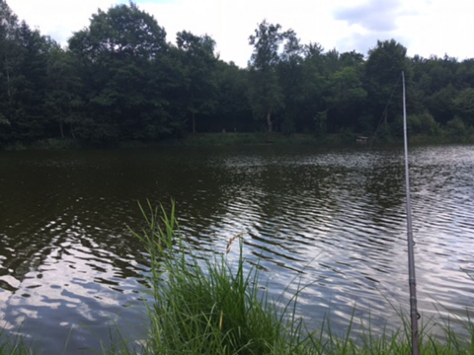 Menzerather Weiher angeln