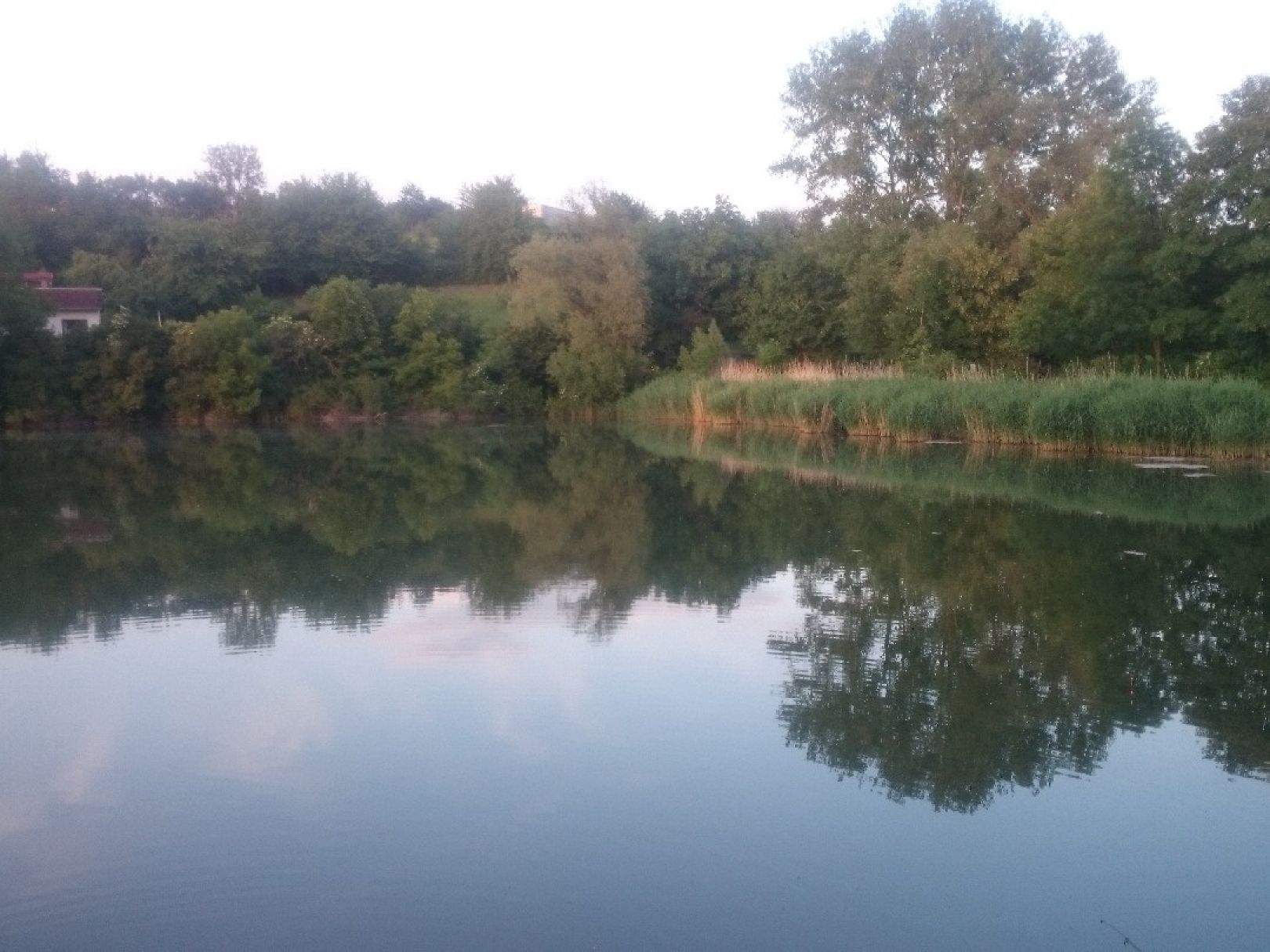 Angelhäuser Teich (Arnstadt) angeln