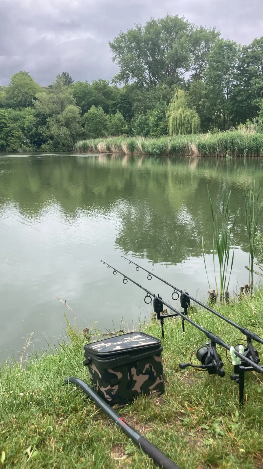 Angelhäuser Teich (Arnstadt) angeln