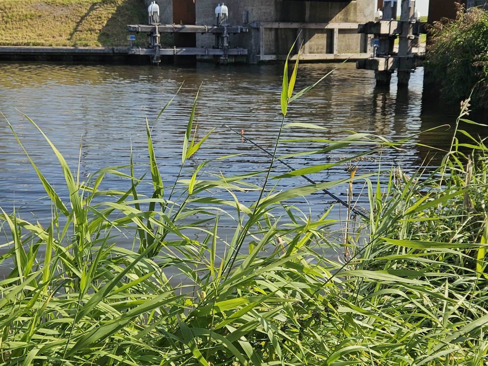 Noordhollands Kanaal (Schagen) angeln