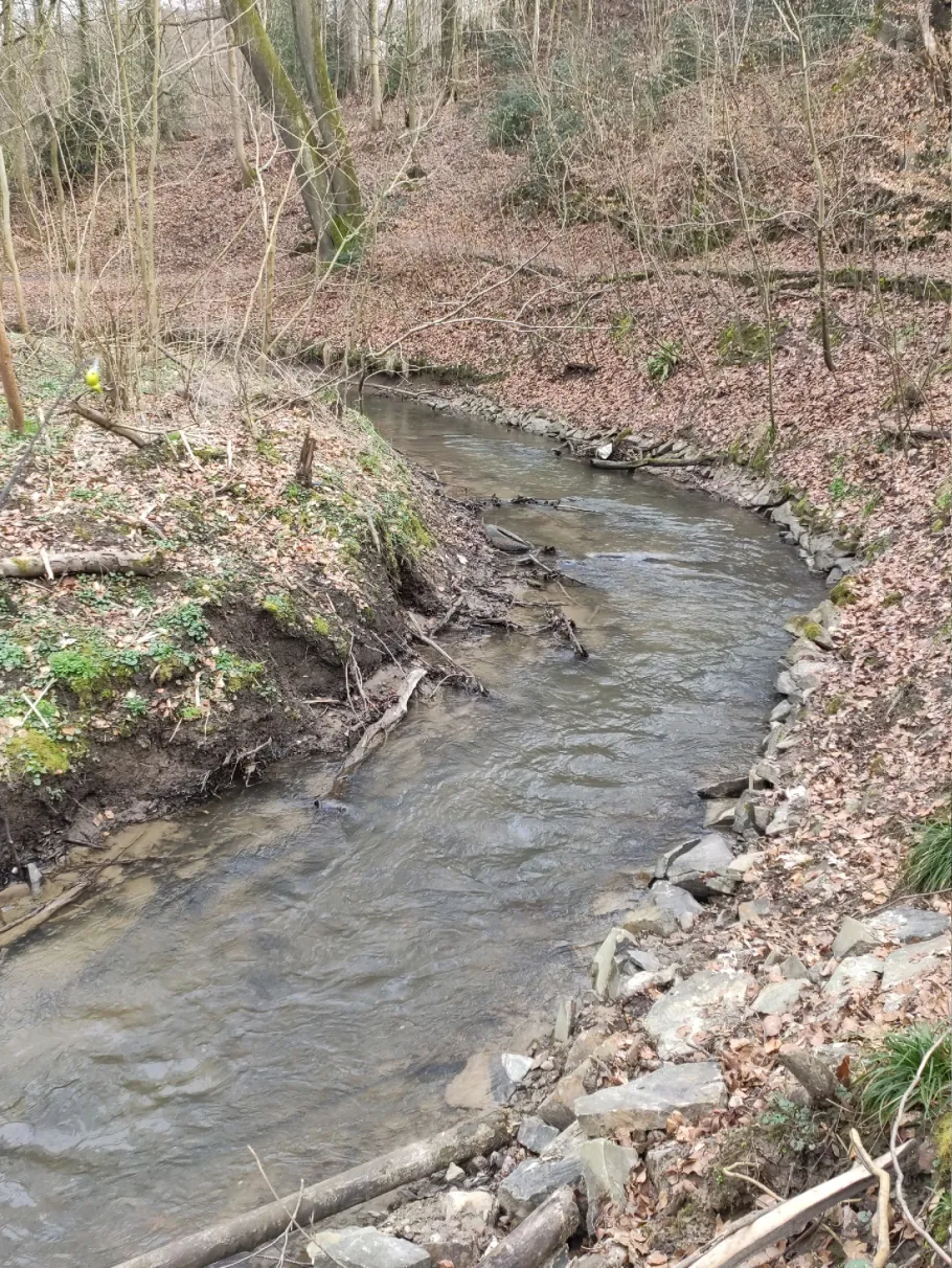 Wiembach (Leverkusen) angeln