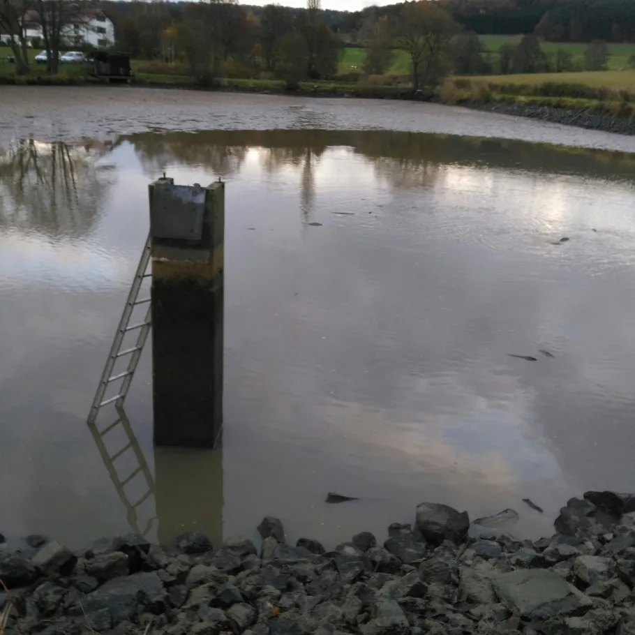 Teichanlage Niederkalbach angeln