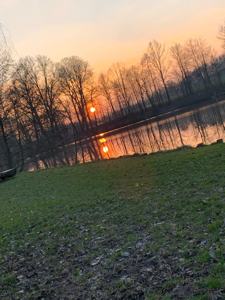 Mühlteich (Braunichswalde) angeln