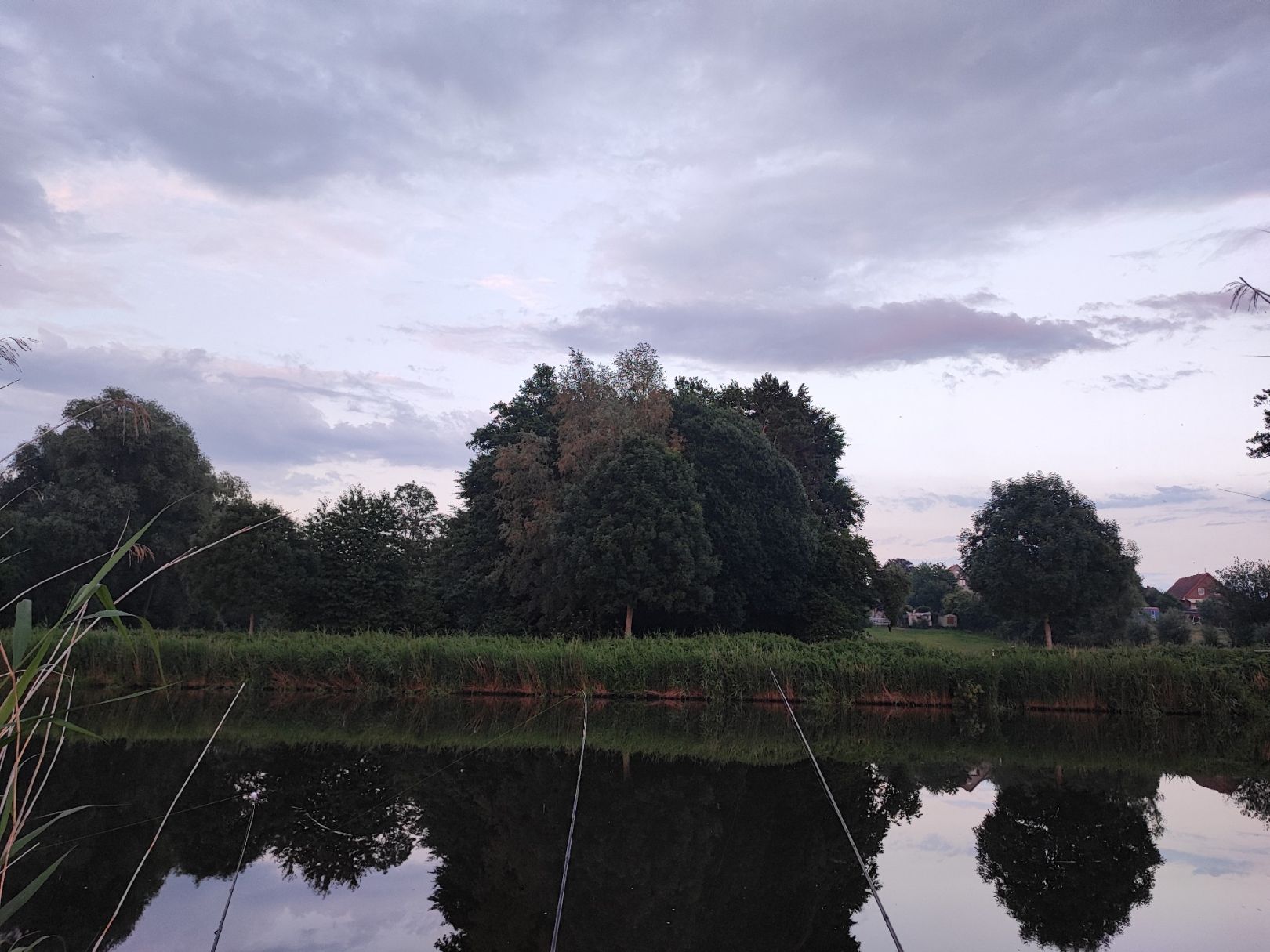 Elbe-Lübeck-Kanal (Berkenthin) angeln