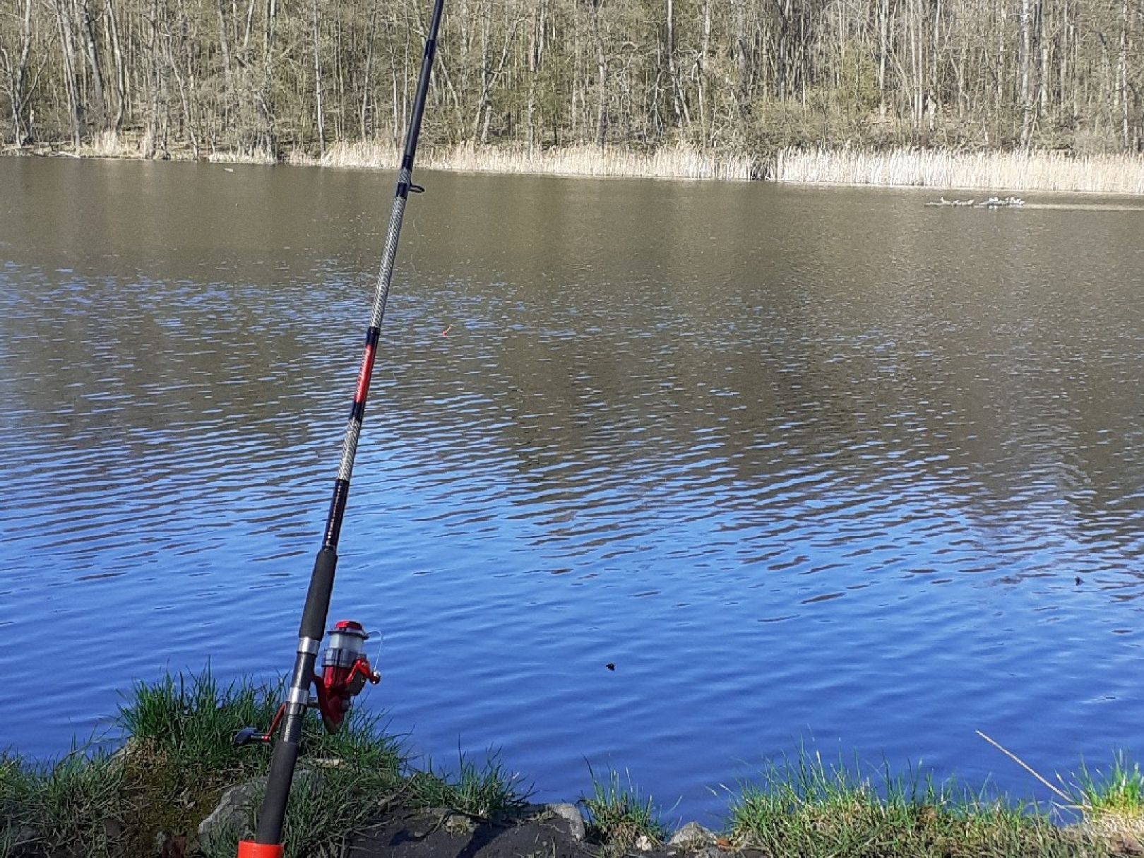 Pechteichsee angeln