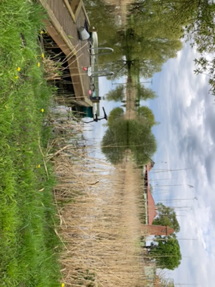 Haussee (Schönwalde) angeln