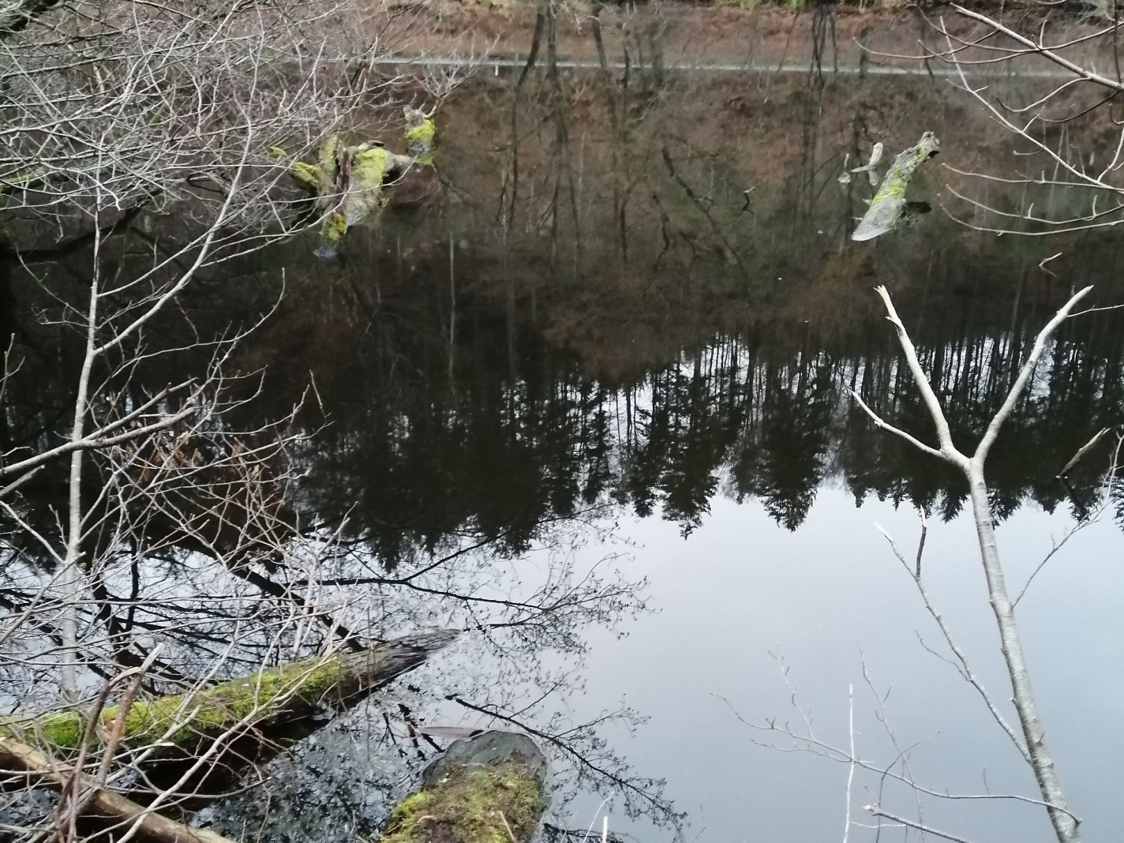 Angeln in Oberarnbach