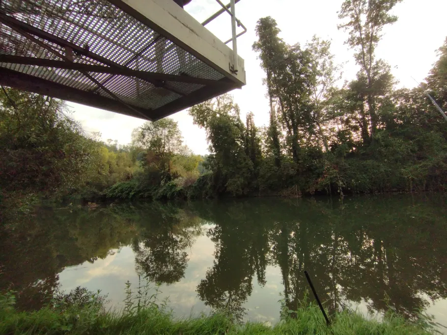 Jagst (Neudenau) angeln