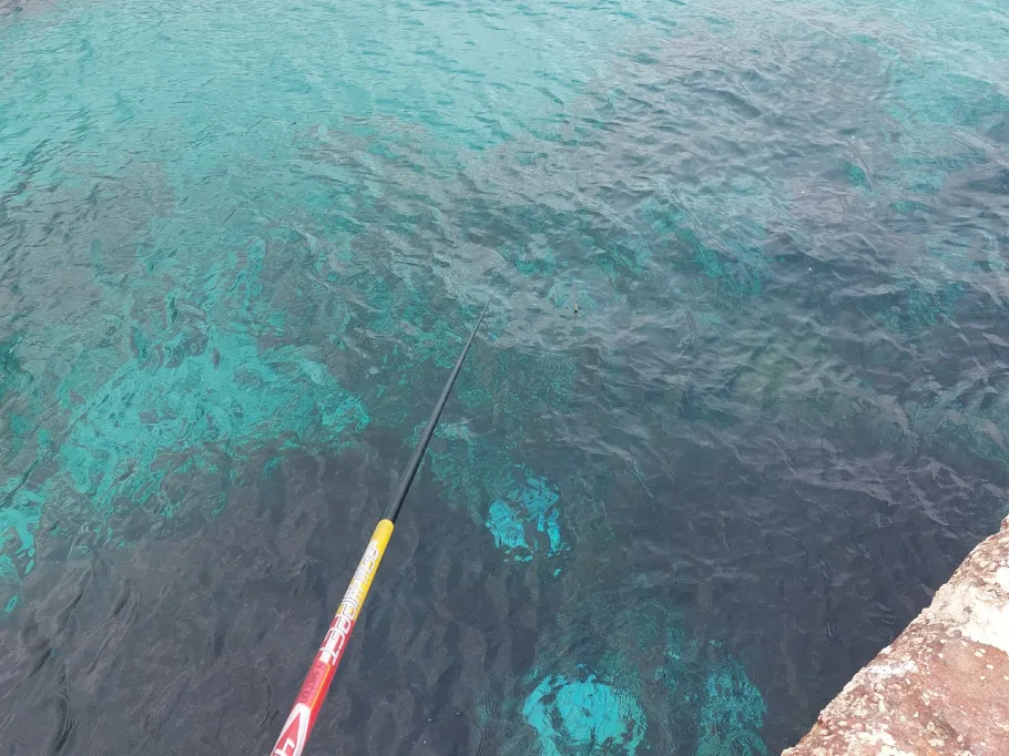 Mittelmeer (Palermo) angeln