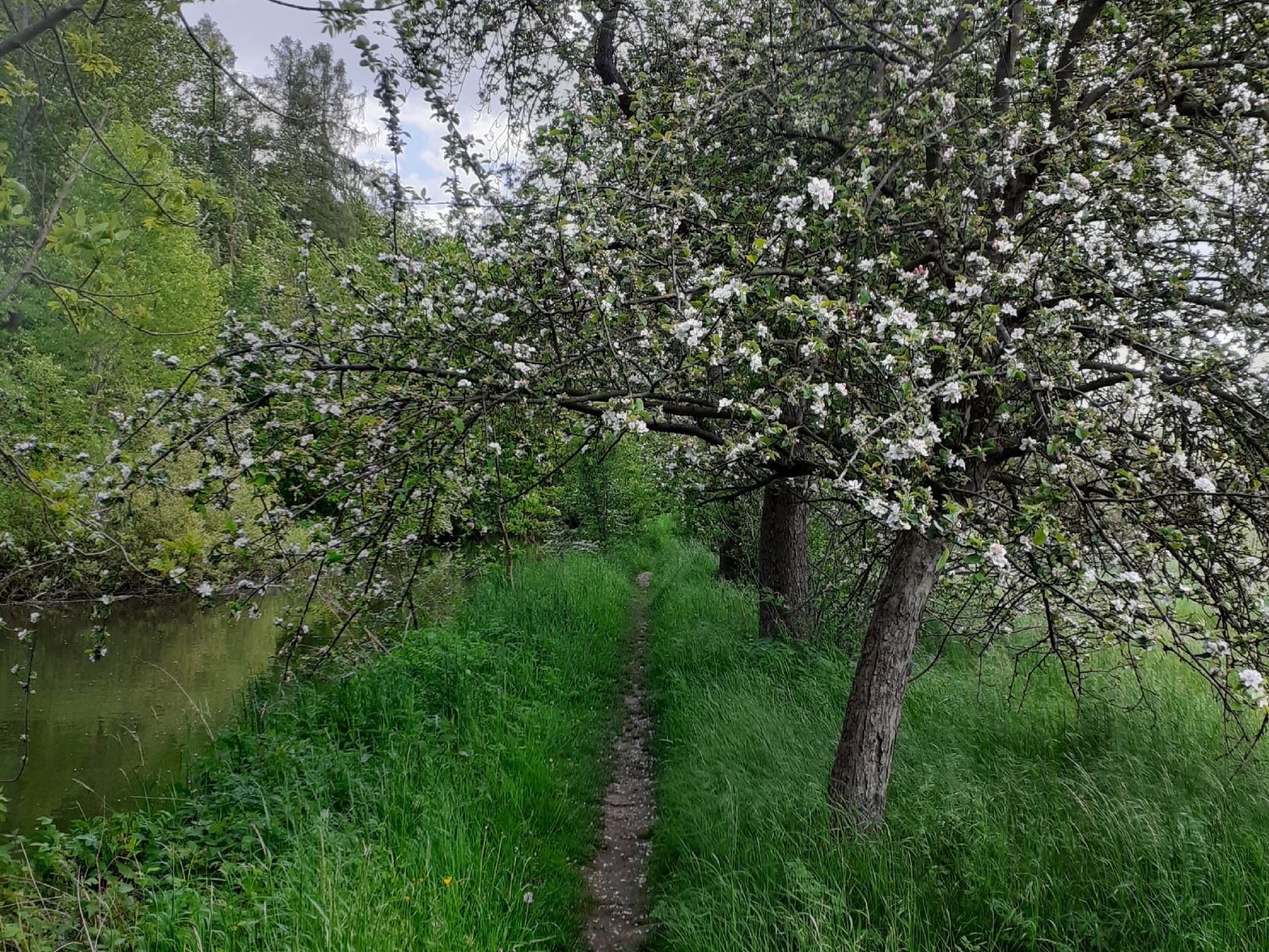 Diemel (Warburg) angeln