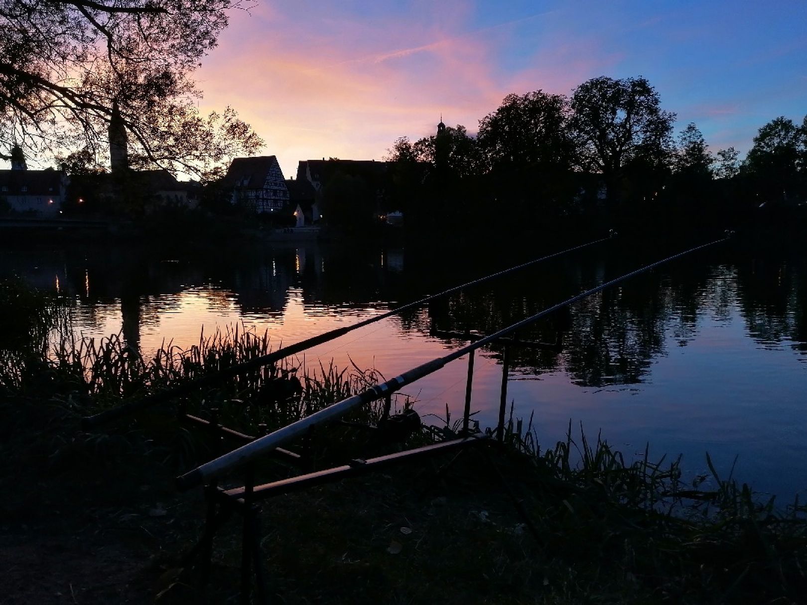 Donau (Lauingen) angeln