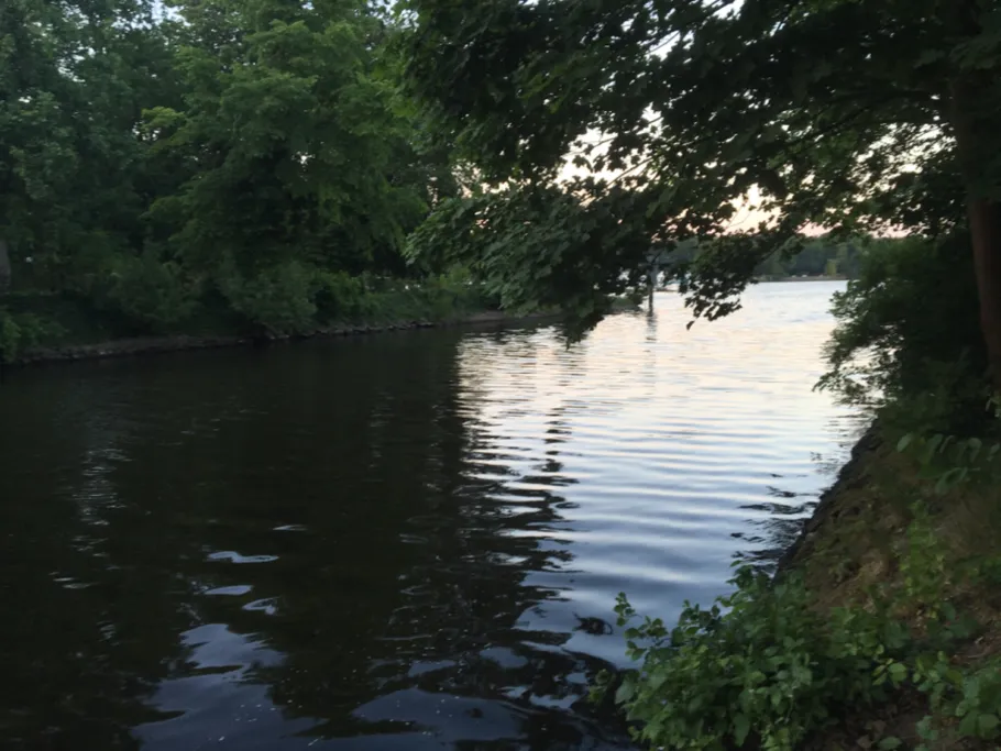 Griebnitz-Kanal angeln