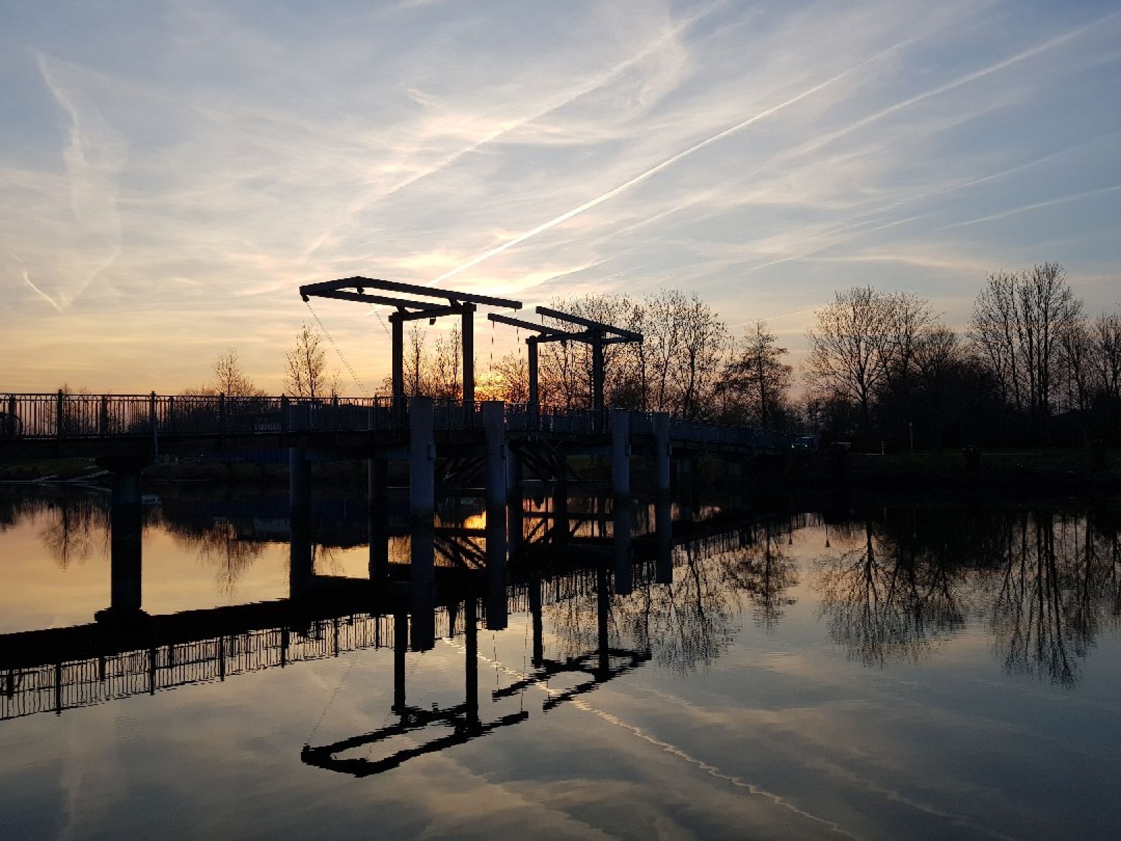 Treene (Friedrichstadt) angeln