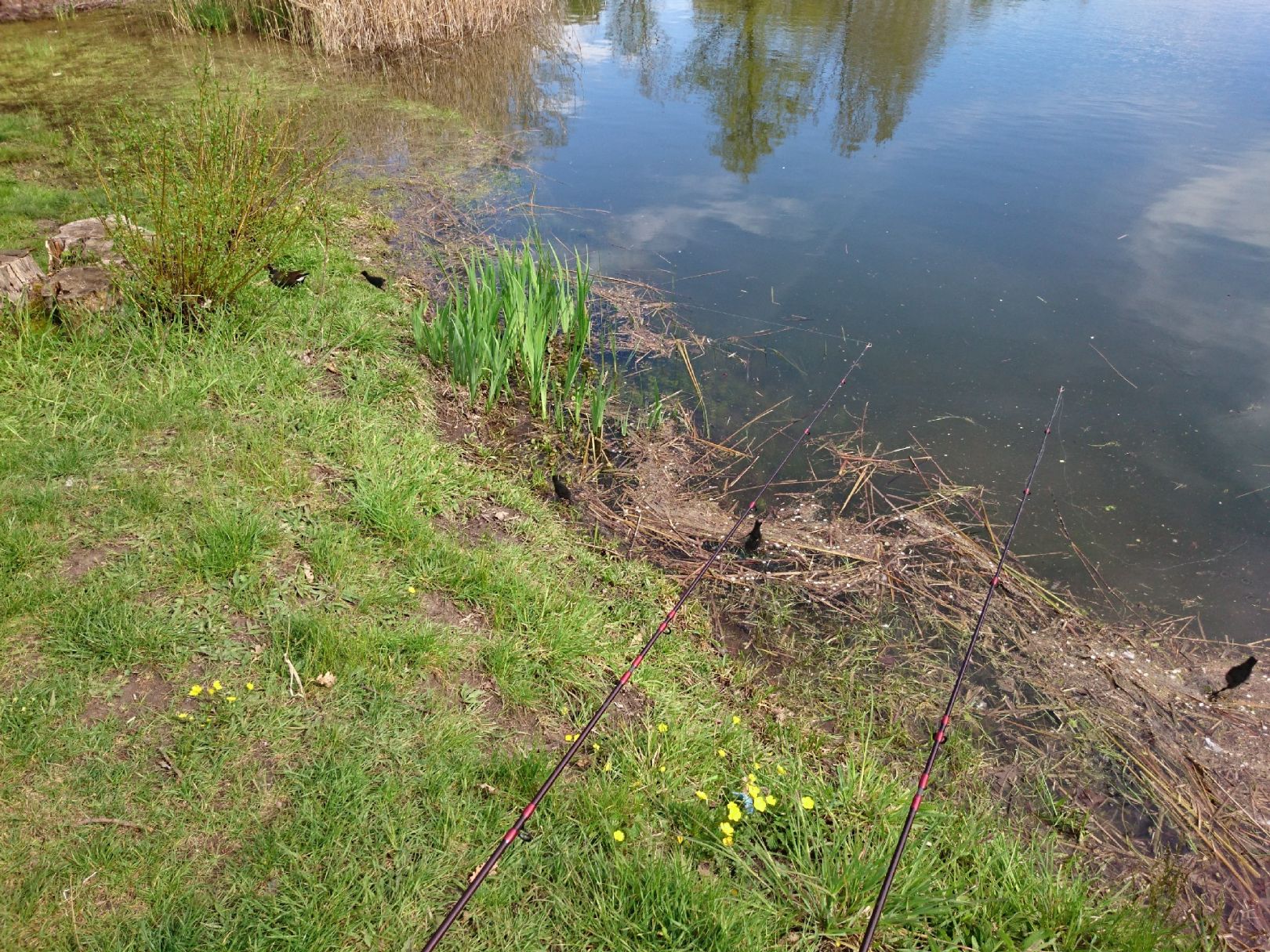 Molschengrube (Sömmerda) angeln
