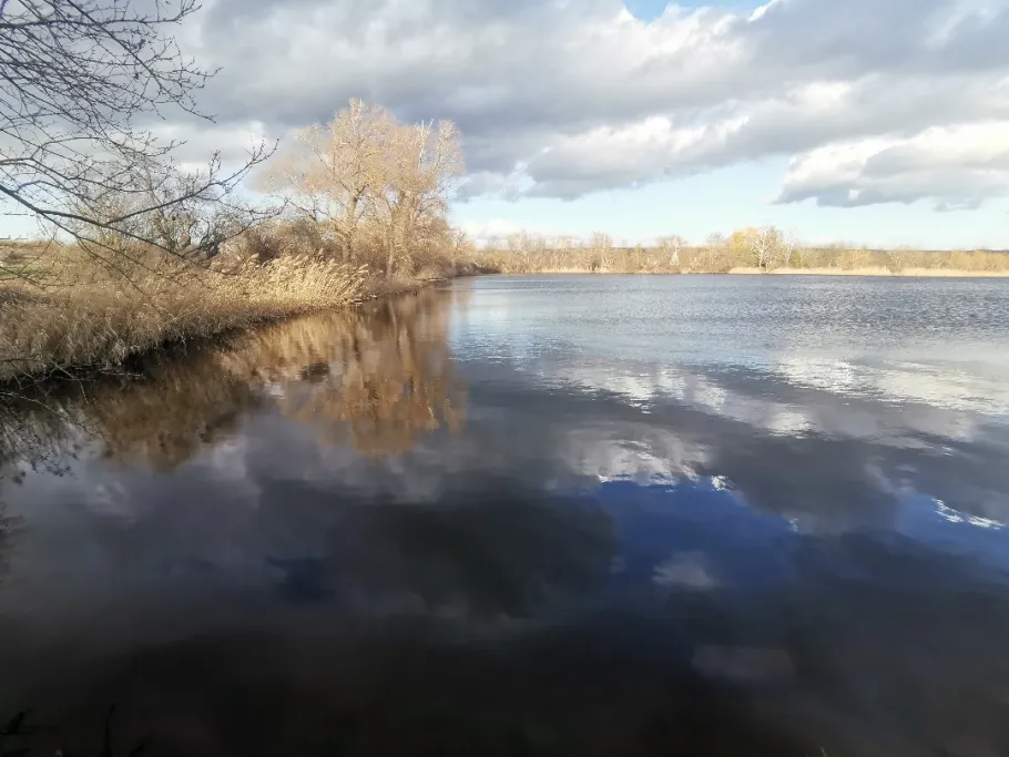 Kiesgruben Wiehe angeln
