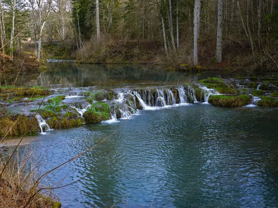 Hasenbach (Hayingen) angeln