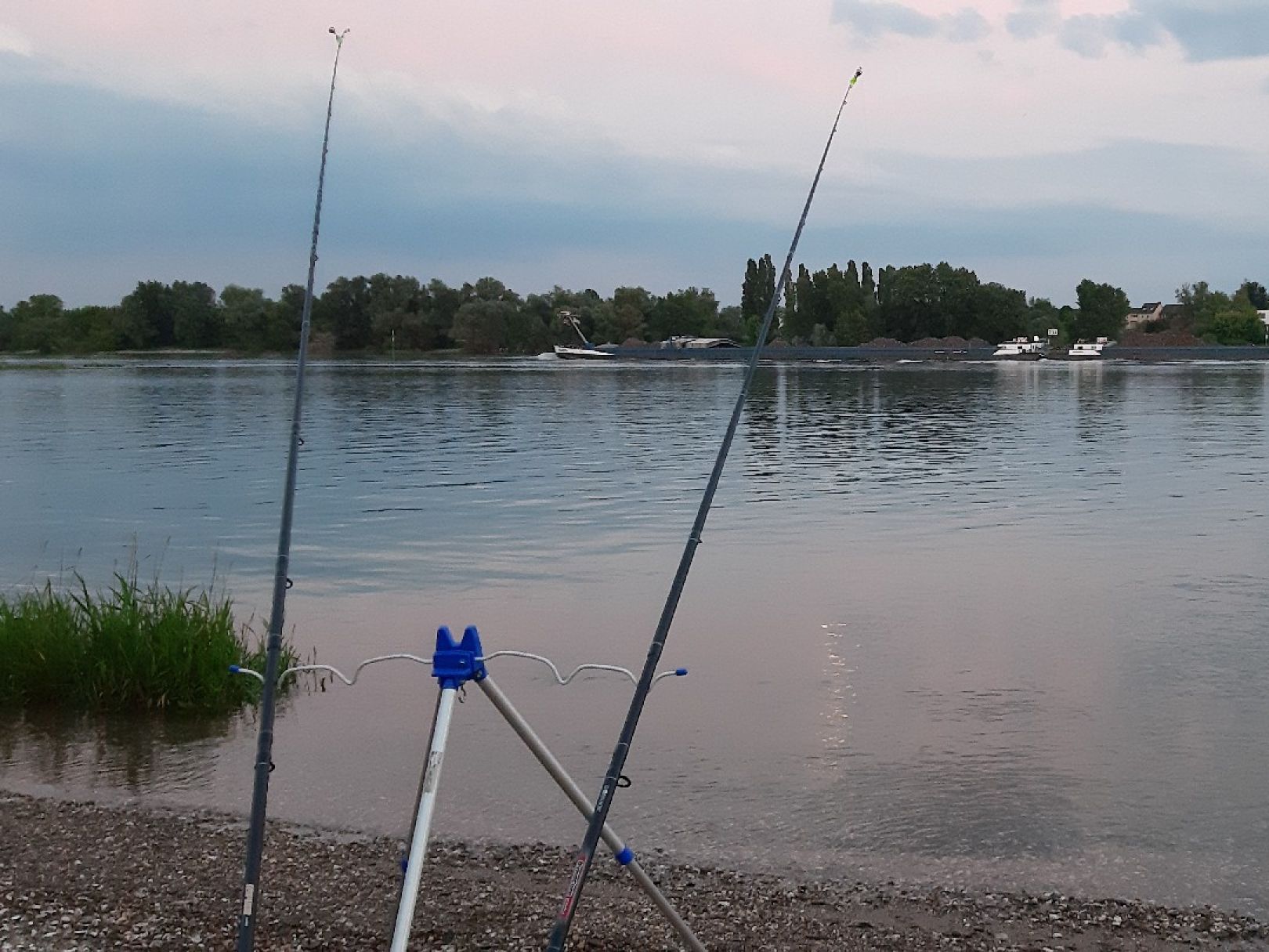 Rhein (Volmerswerth) angeln