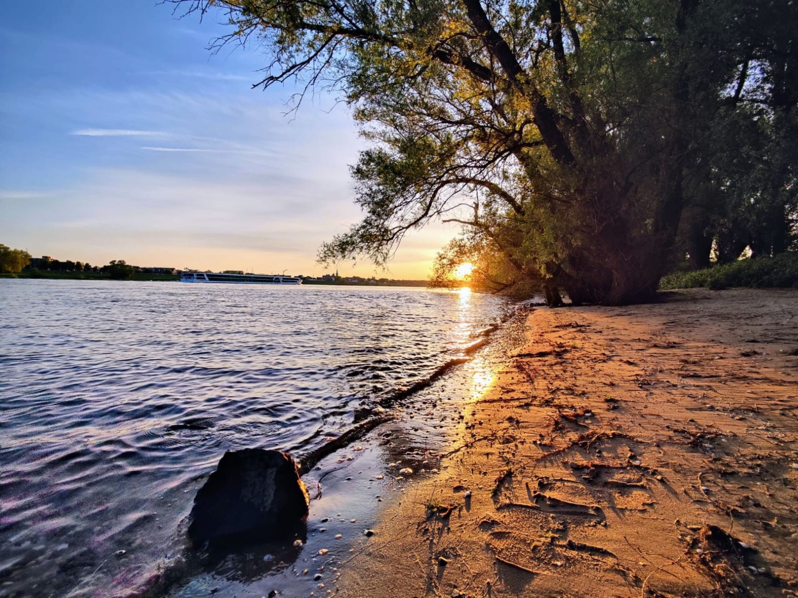 Rhein (Volmerswerth) angeln