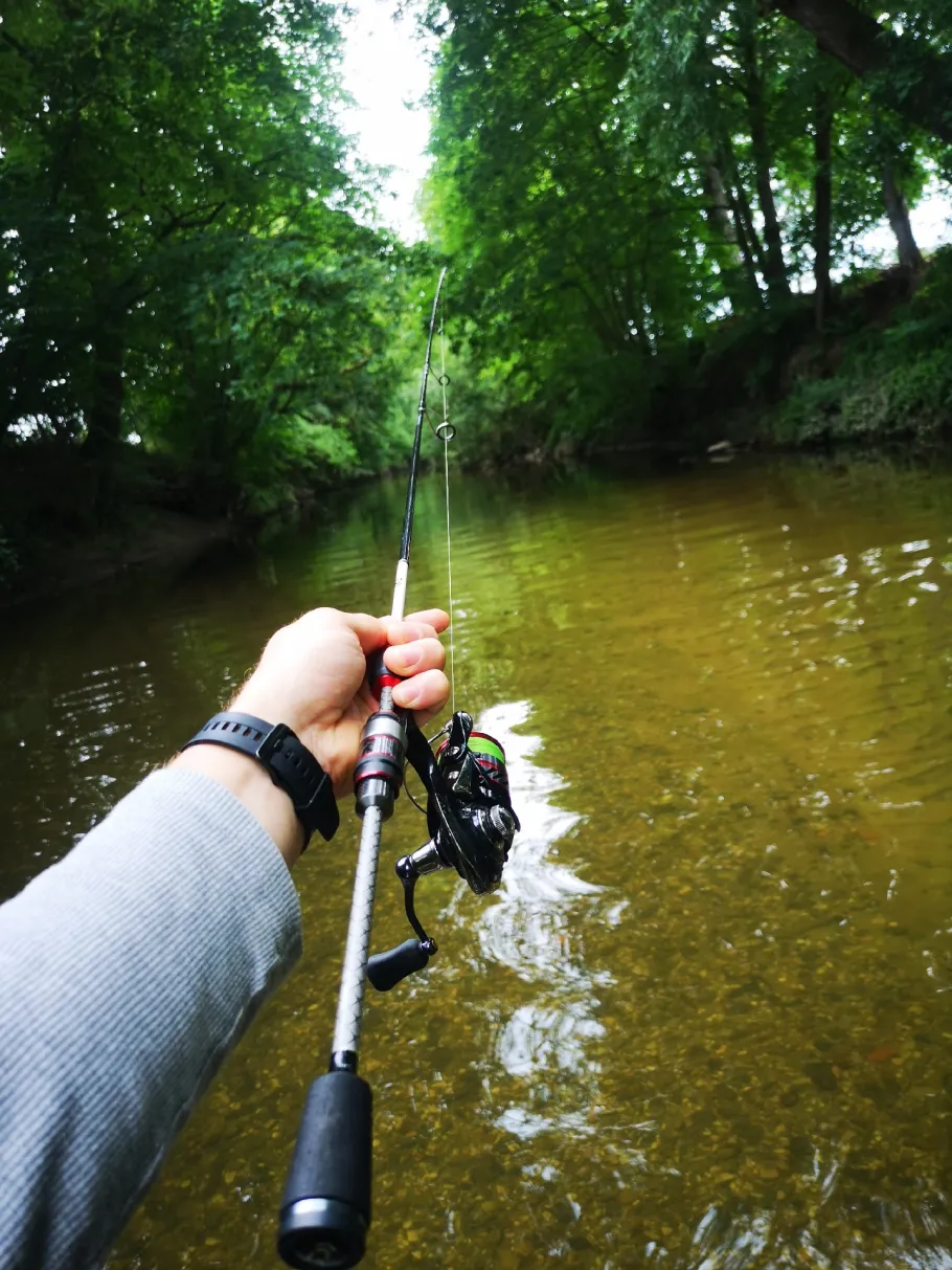 Werre (Bad Salzuflen) angeln