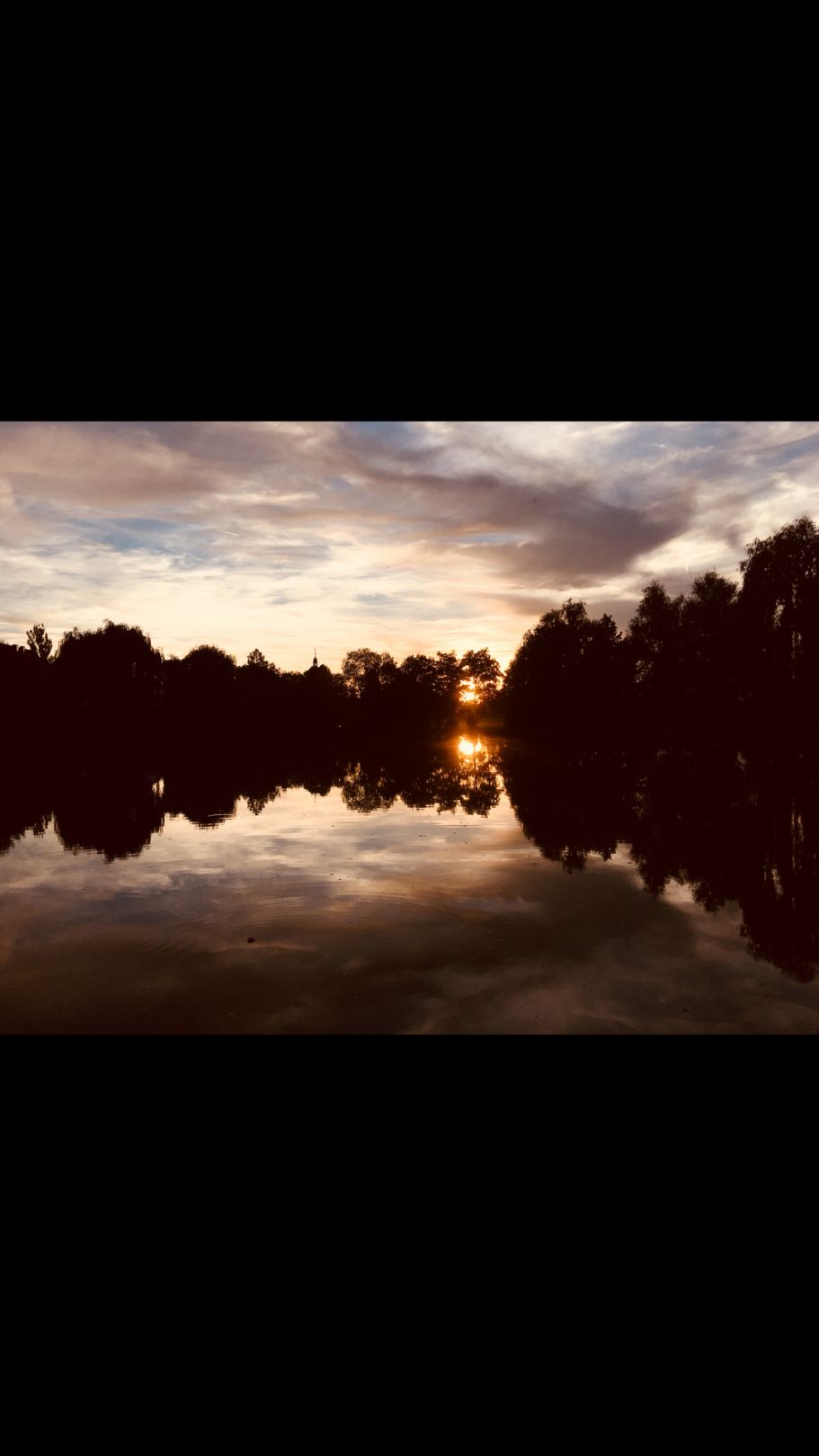 Neuer Weiher (Markt Erlbach) angeln