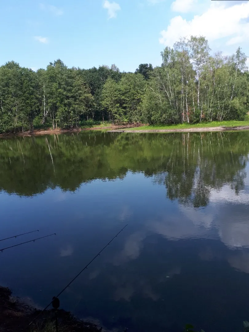 Grillplatz-See (Wesendorf) angeln