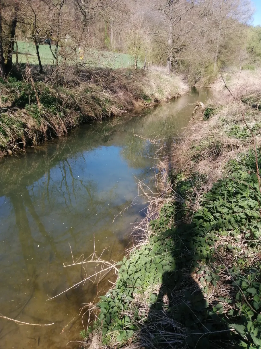 Kleine Bach (Neidenstein) angeln