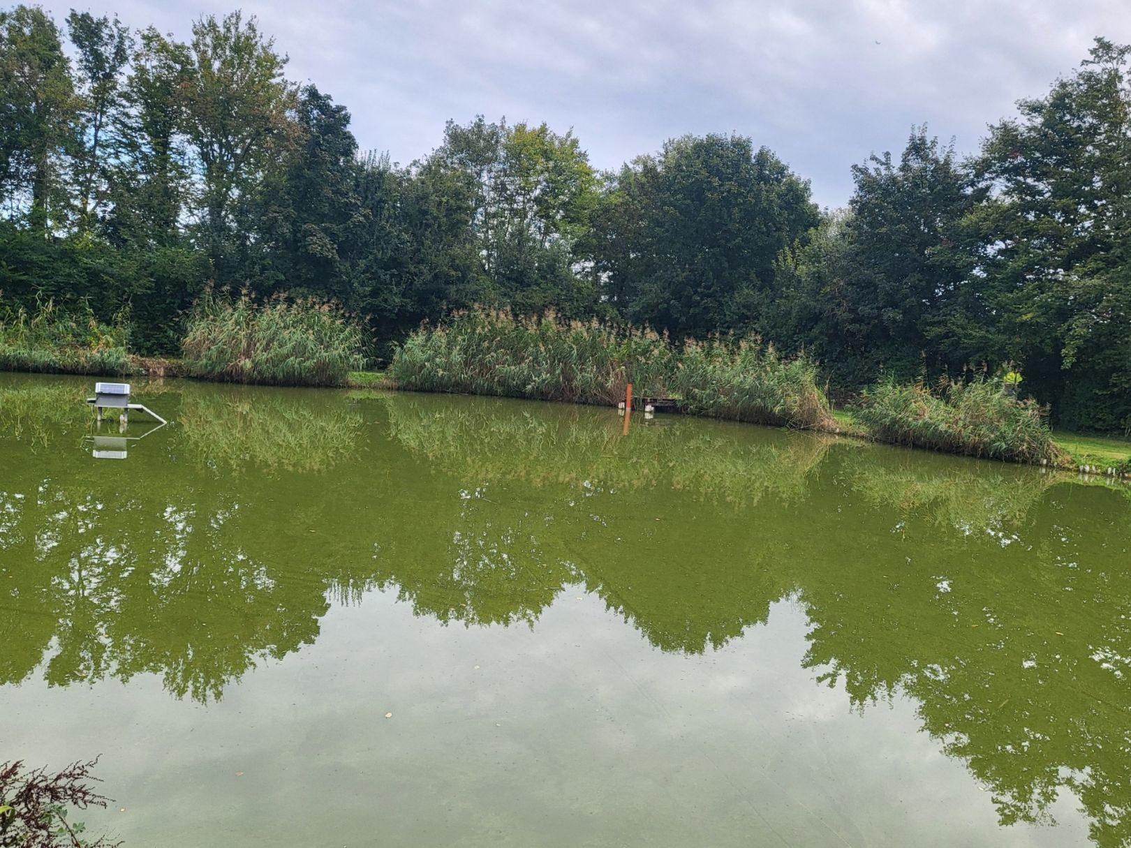 Weiher (Stadecken) angeln