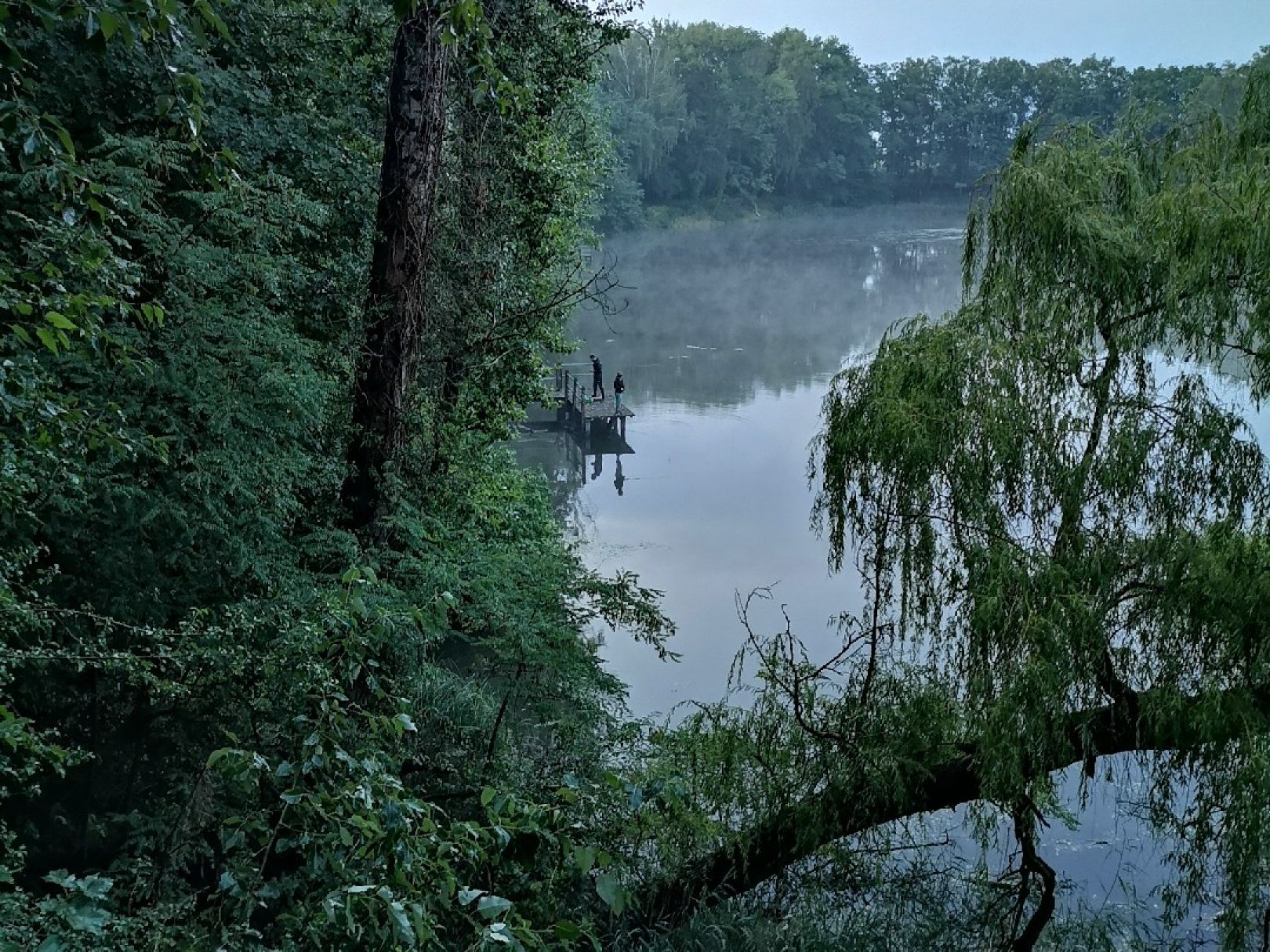 Teich 1 (Bad Belzig) angeln