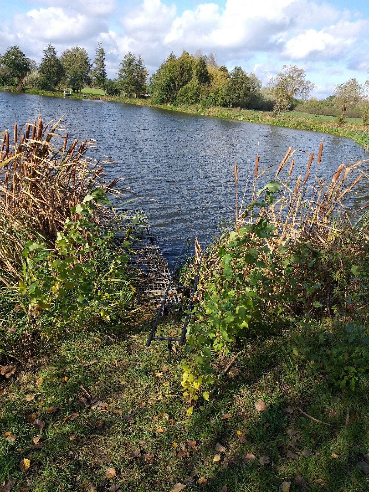 Köhnsee (Kläden) angeln