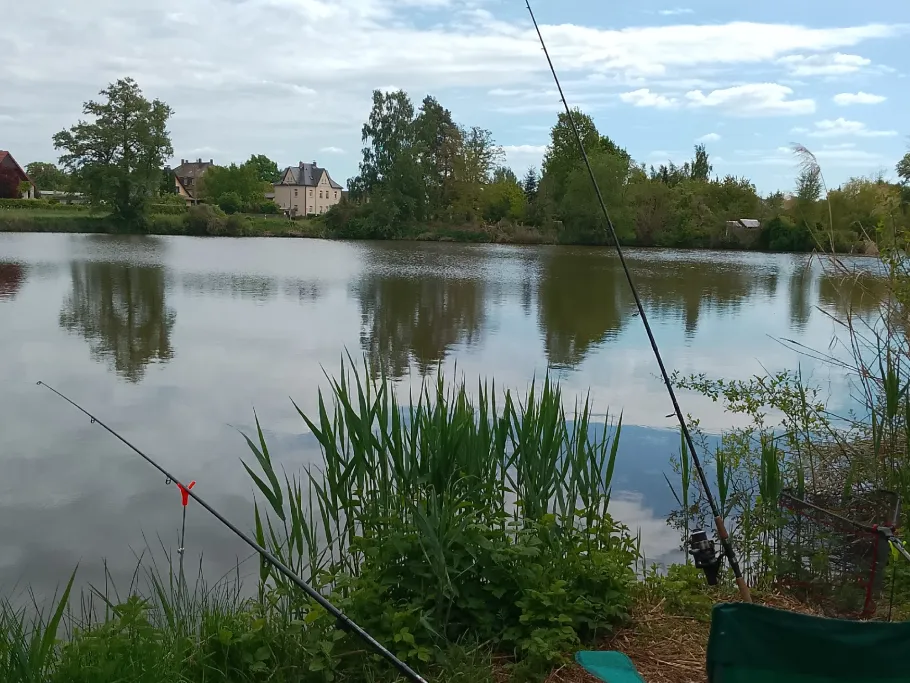 Mühlteich (Trebsen) angeln