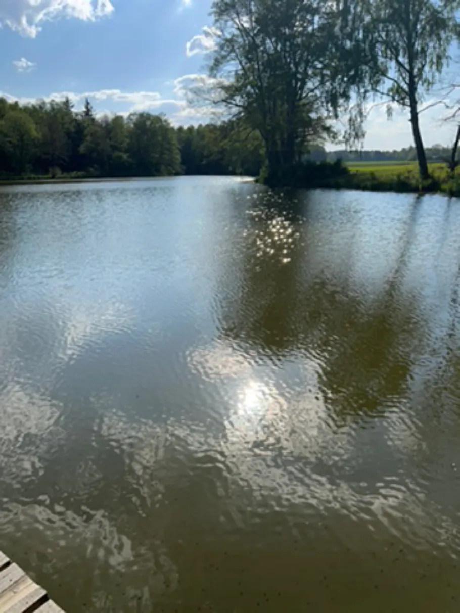 Windach (Windach) angeln