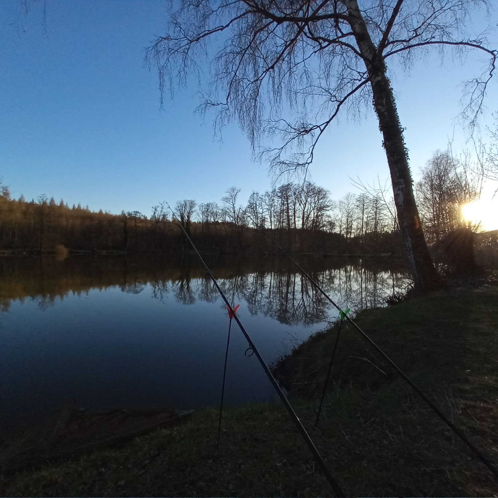 Erlacherweiher (Wemding) angeln