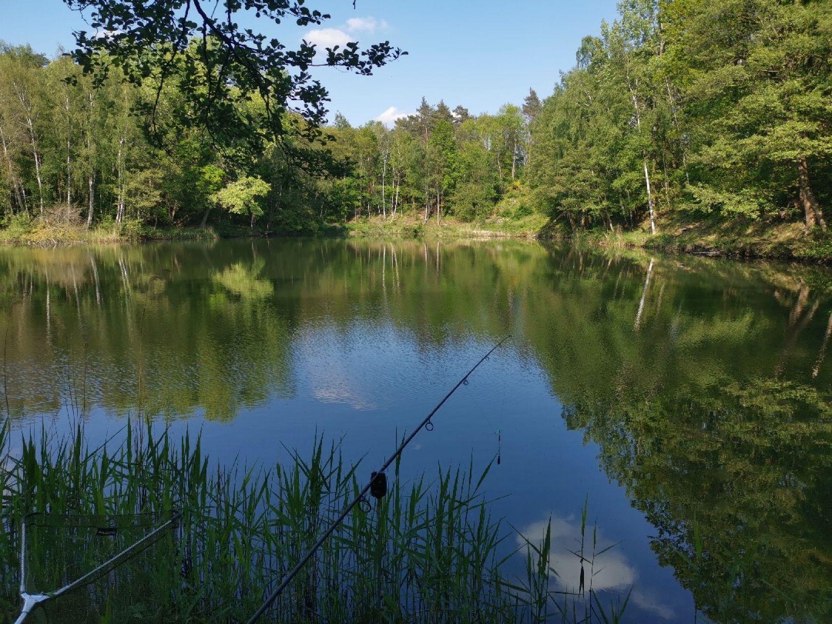 Grüner See (Poggenhagen) angeln