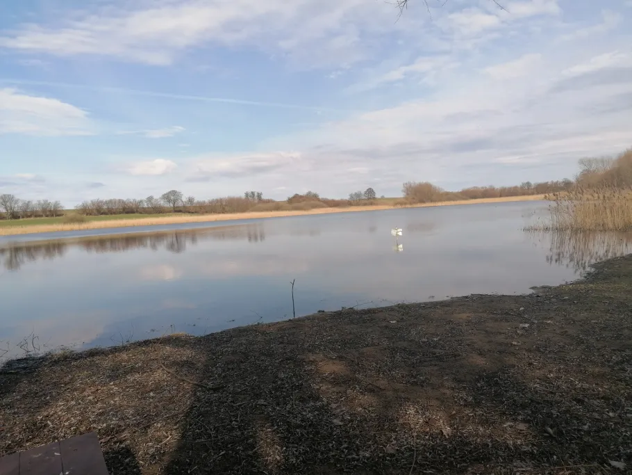 Schulzensee (Pasenow) angeln