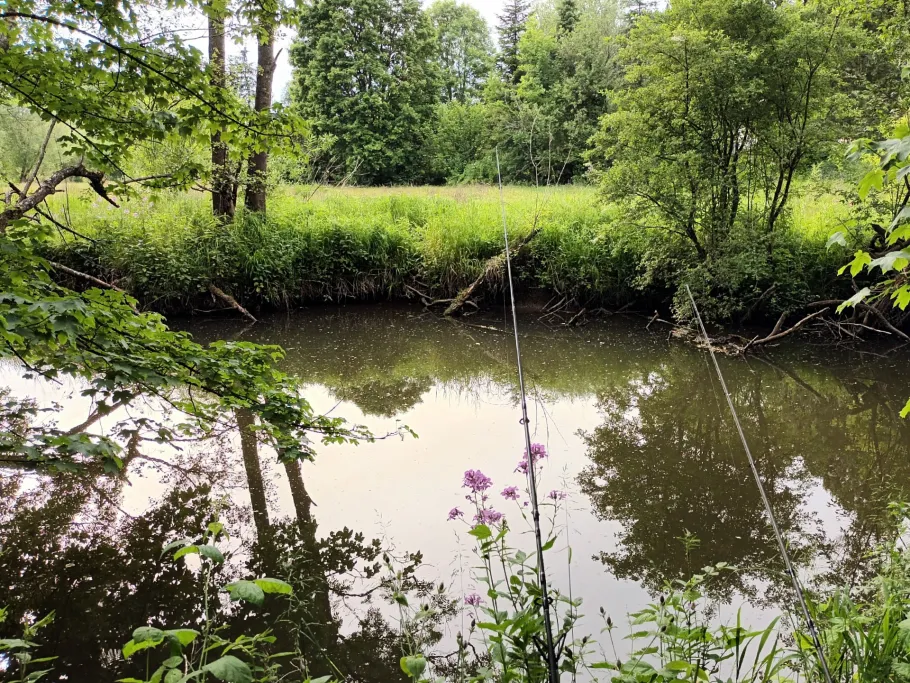 Rot (Fichtenberg) angeln