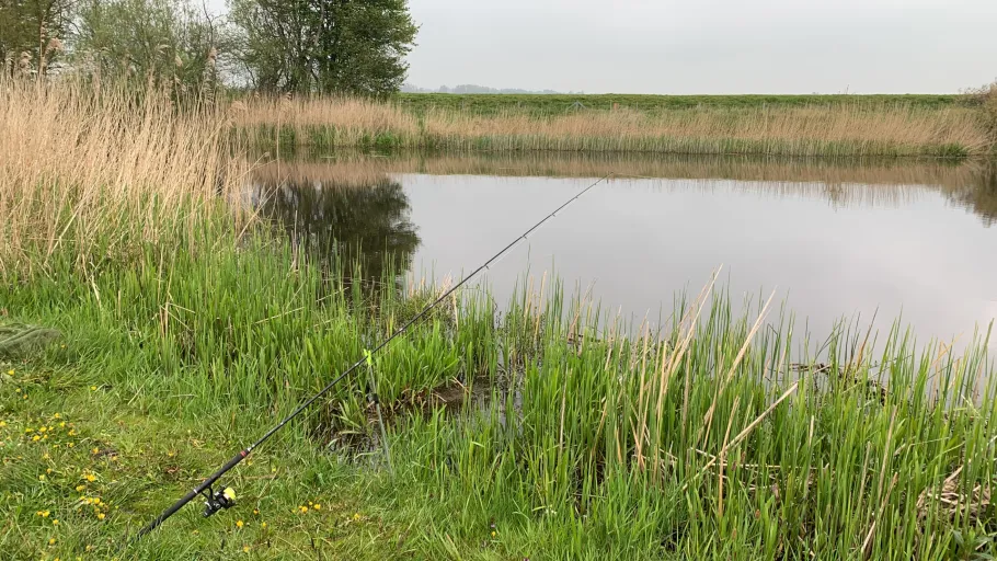 Alte Treene Papenbrook angeln