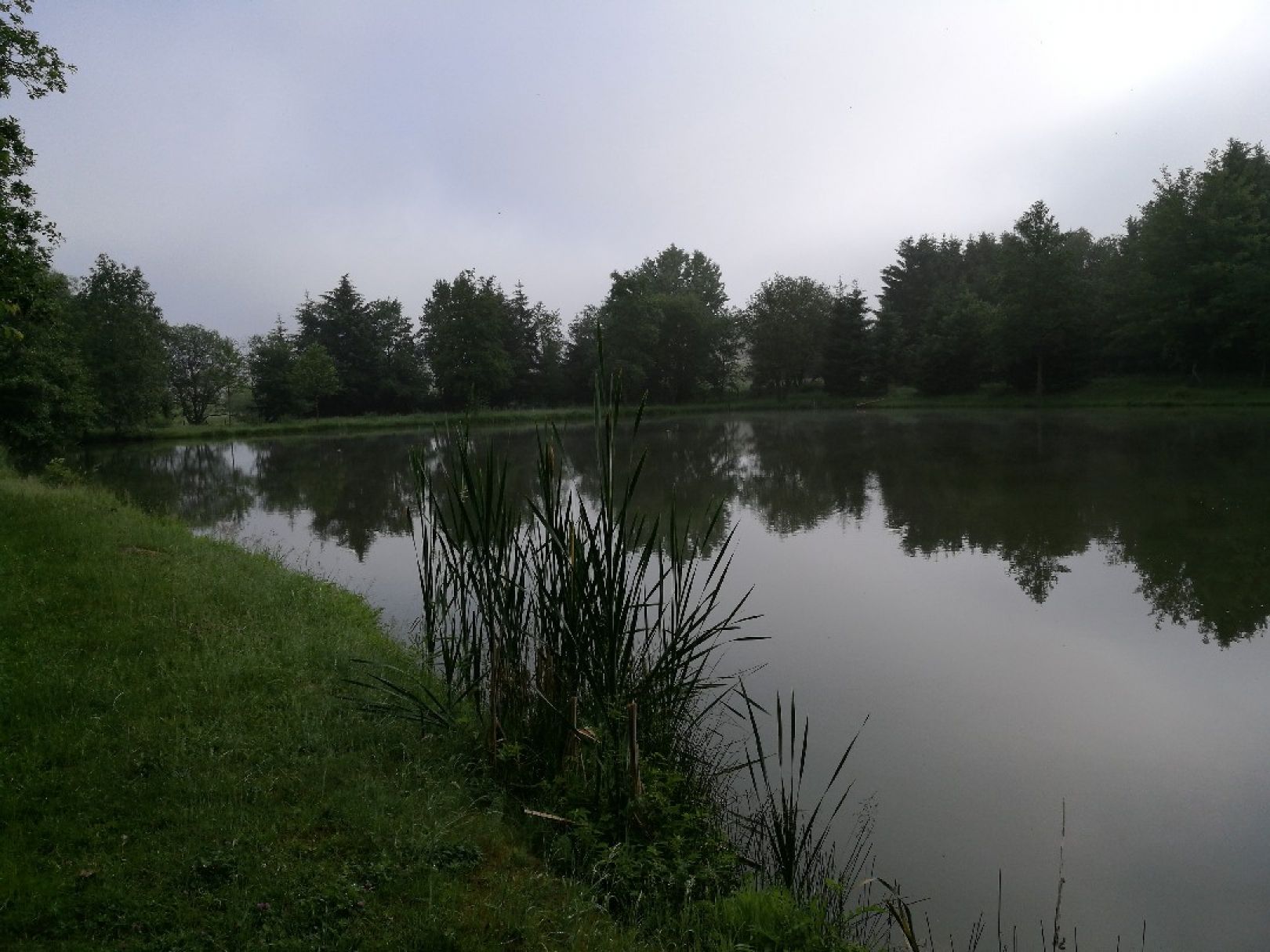 Teichanlage Neunkhausen angeln