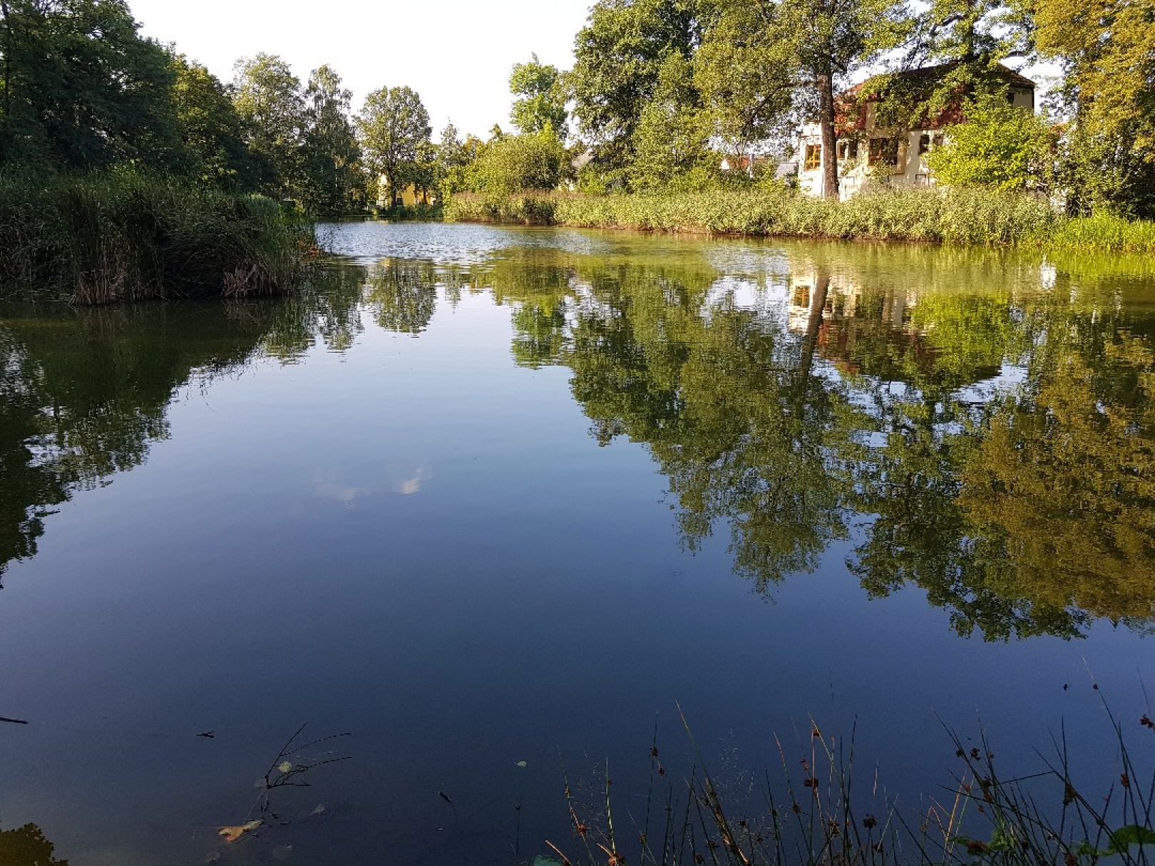 Schloßteich Pulsnitz ALLE ANGELN