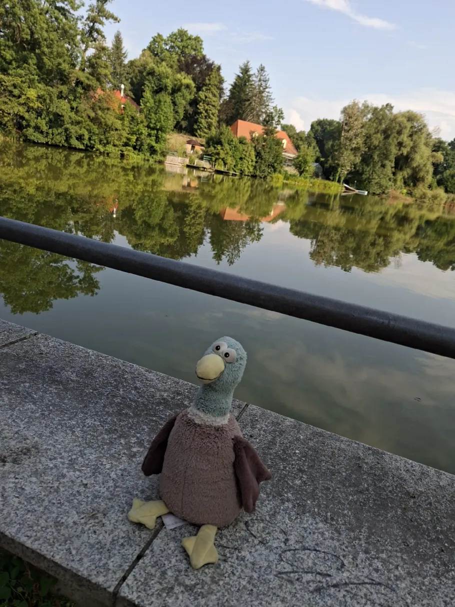 Schloßteich Pulsnitz angeln