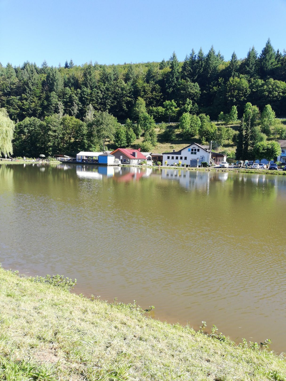 Fischzucht Rhönforelle (Gersfeld) angeln