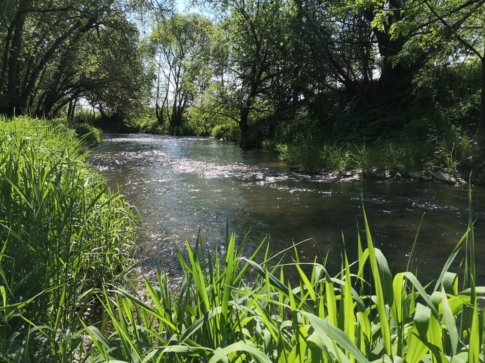 Gera (Ichtershausen) angeln