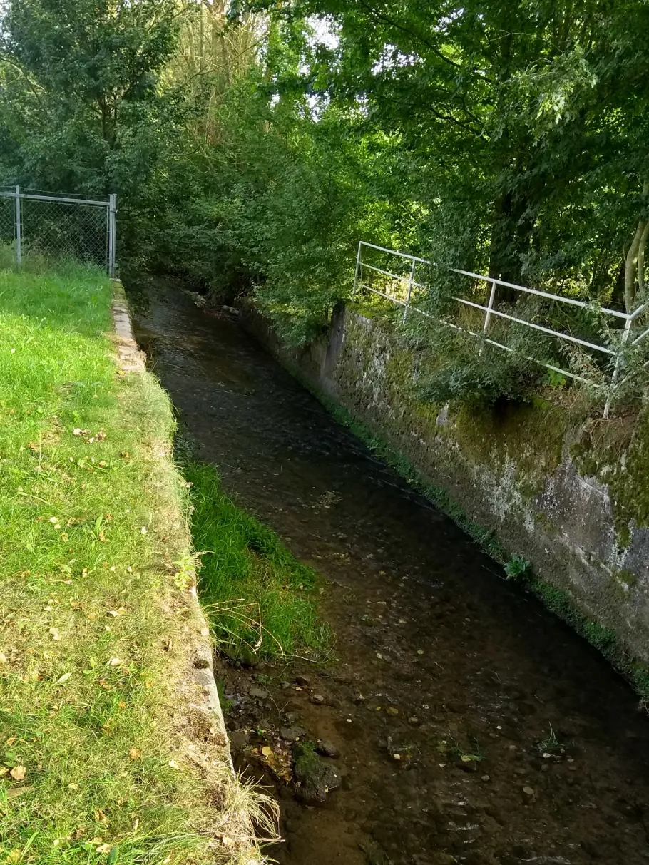 Aid (Aidlingen) angeln