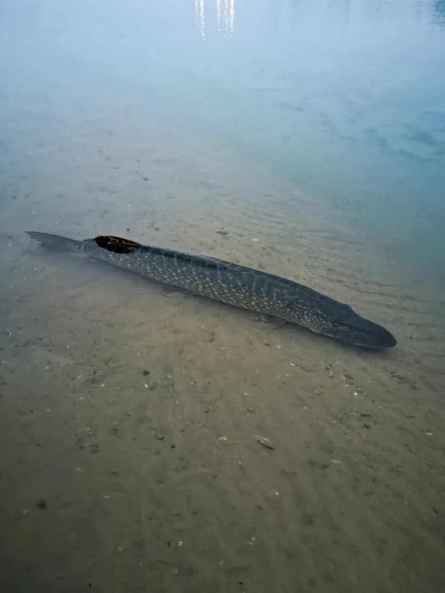 Baufeld Wörbzig 1-3 angeln