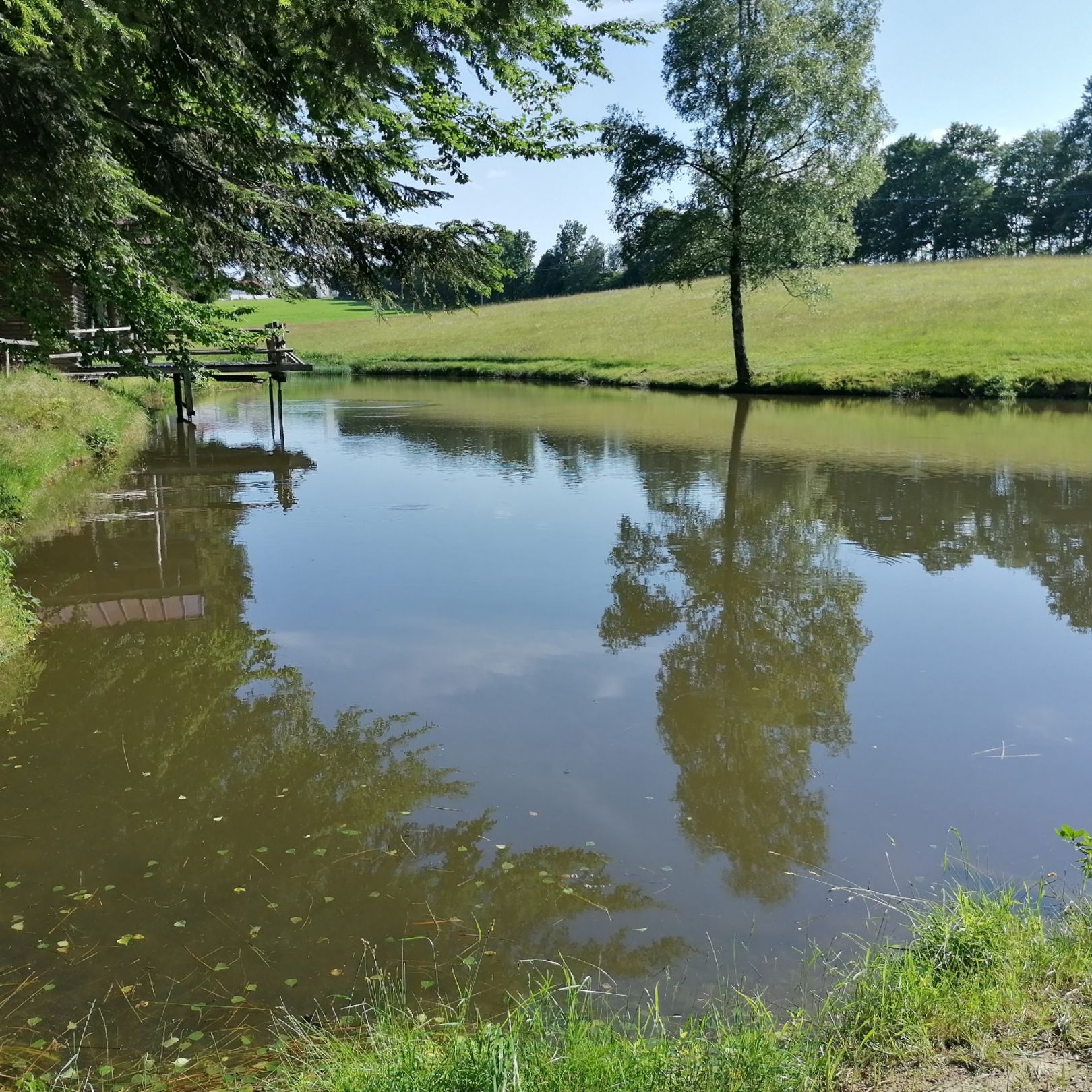 Loibl-Weiher (Neudorf) angeln