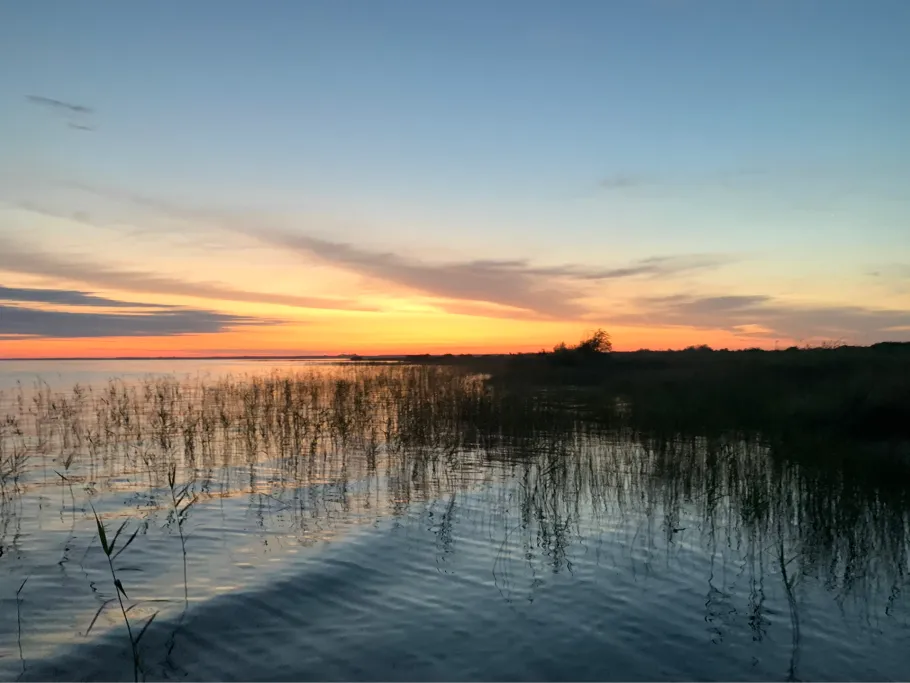 Lac de Hourtin angeln