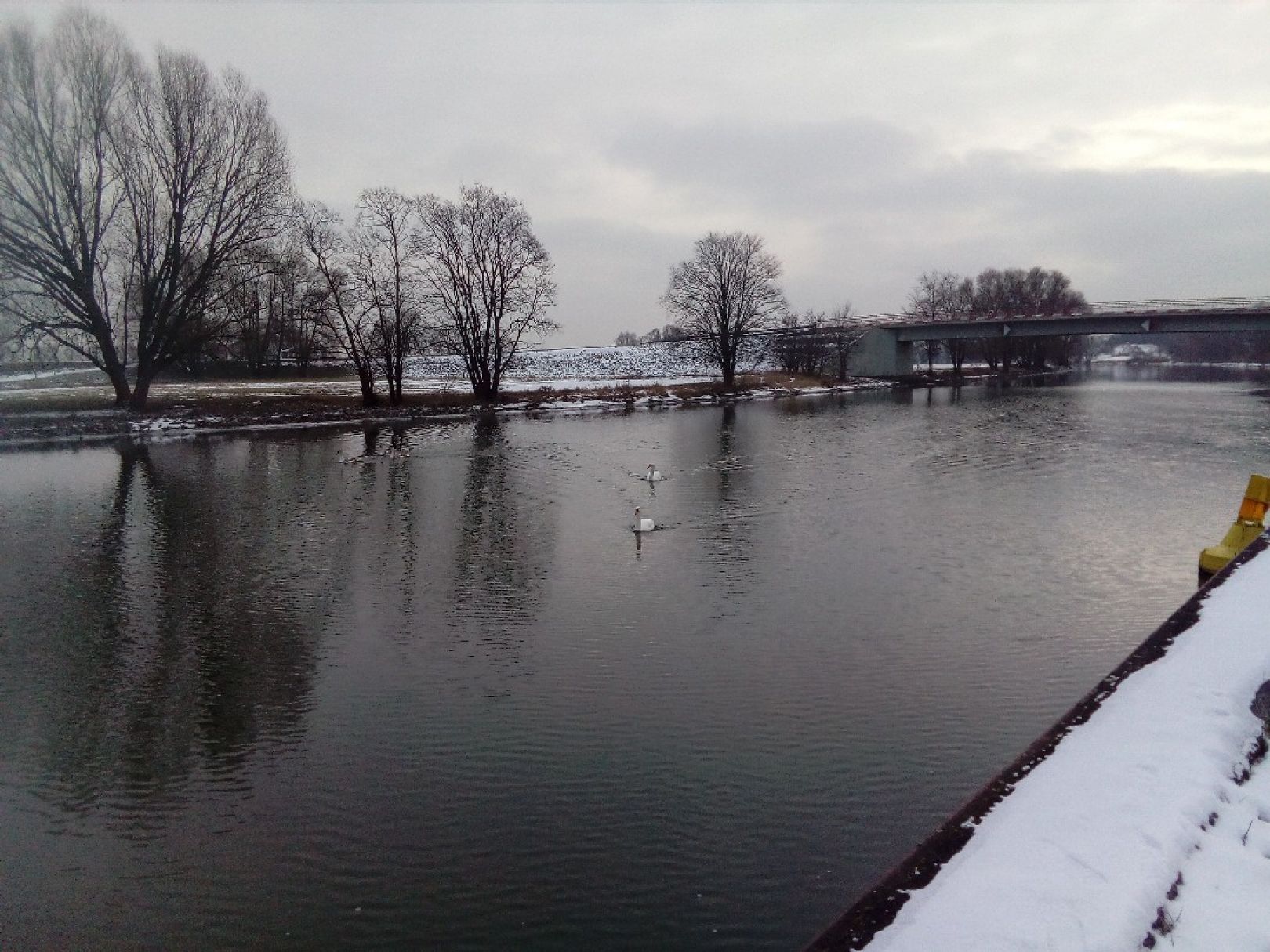 Hohensaaten-Friedrichsthaler Wasserstraße (Lunow-Stolzenhagen) angeln